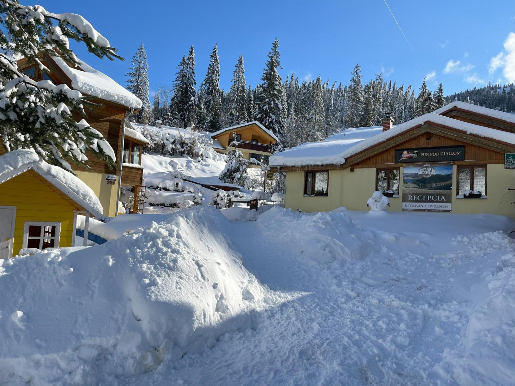 Penzion Pod Guglom Mlynky Exterior foto
